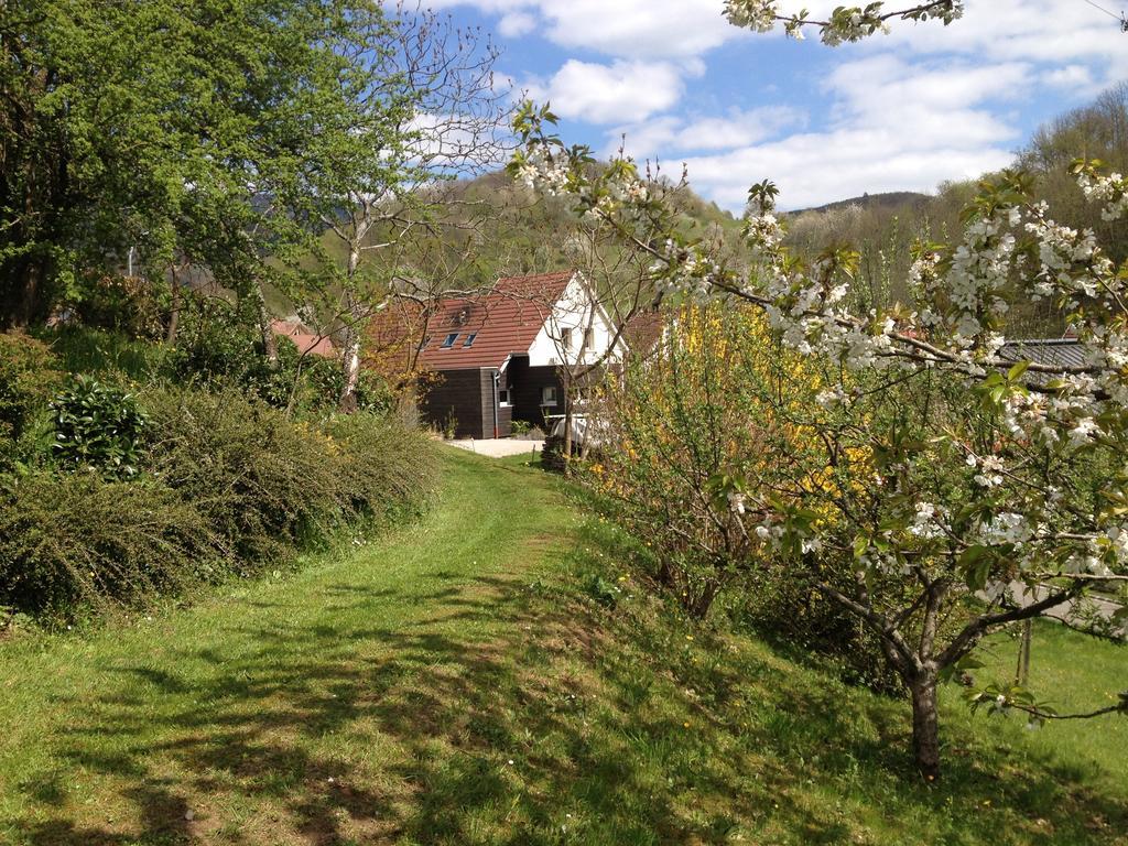 Gite Bellevue Breitenbach Bilik gambar