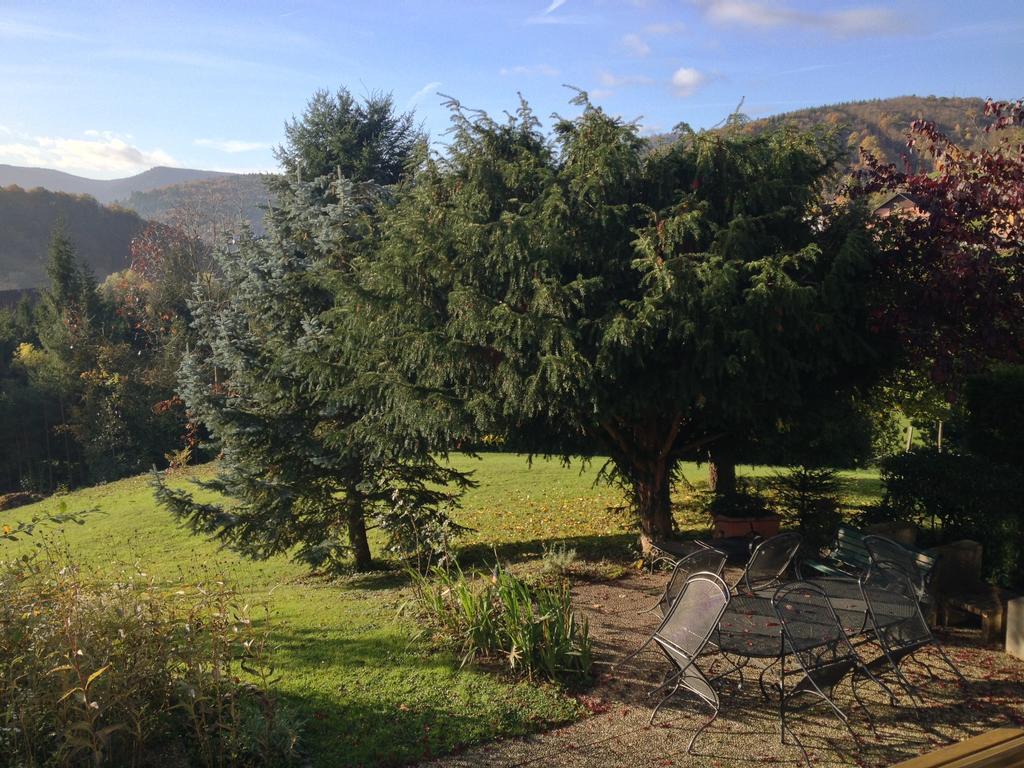 Gite Bellevue Breitenbach Bilik gambar