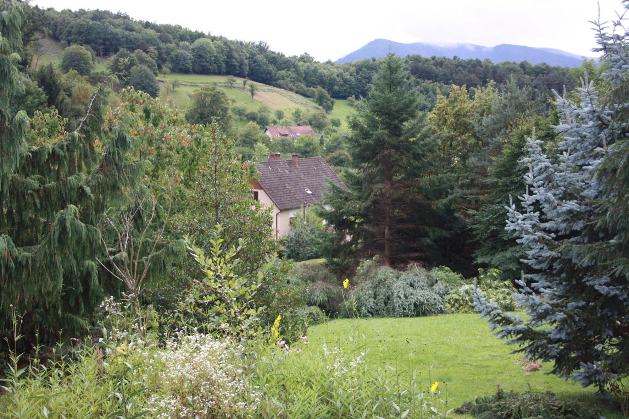 Gite Bellevue Breitenbach Luaran gambar